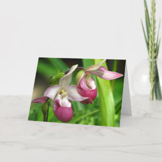 Tarjeta de felicitación Orquídea