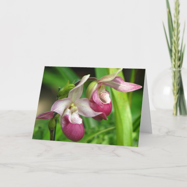 Tarjeta de felicitación Orquídea (Anverso)