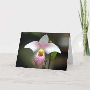Tarjeta de felicitación Orquídea Blanca/Rosa