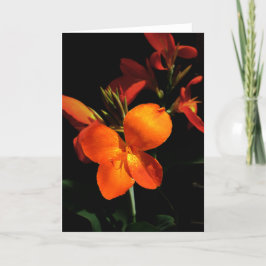 Tarjeta de felicitación Orquídea deslumbrante
