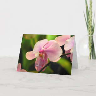Tarjeta de felicitación Orquídea Rosa