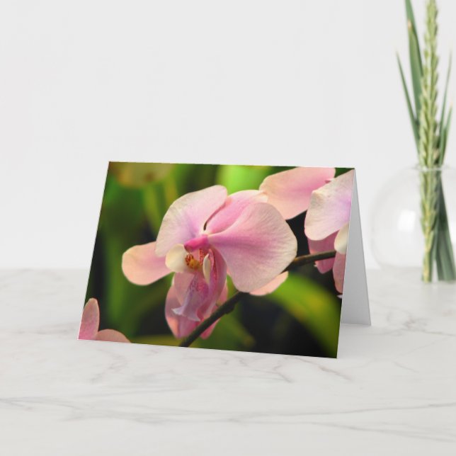 Tarjeta de felicitación Orquídea Rosa (Anverso)