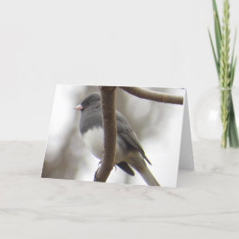 tarjeta de felicitación Oscuro-observada del Junco