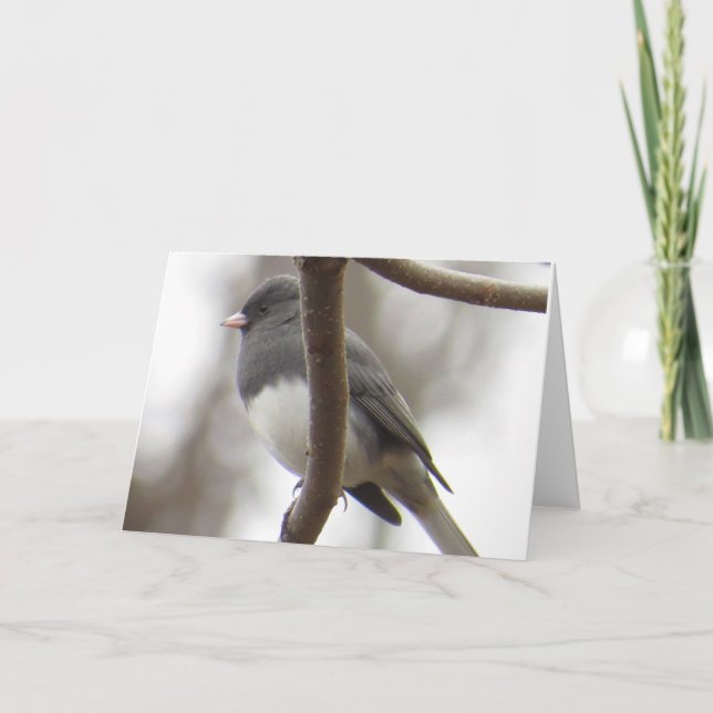 tarjeta de felicitación Oscuro-observada del Junco (Anverso)