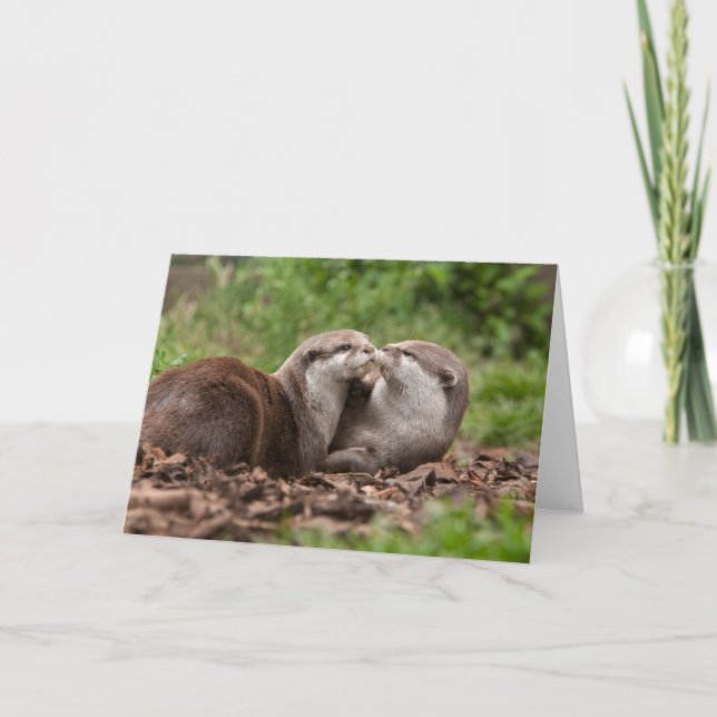 Tarjeta de felicitación Otter (Anverso)