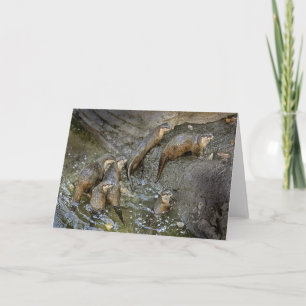 Tarjeta de felicitación Otter Pack