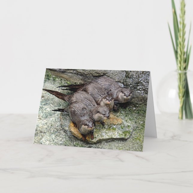 Tarjeta de felicitación Otters 4 in a row (Anverso)