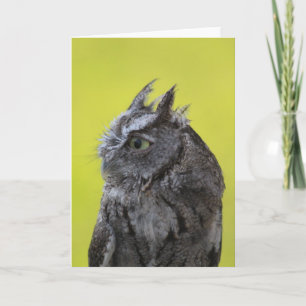 Tarjeta de felicitación Owl