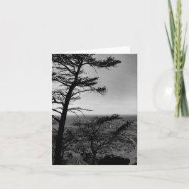 Tarjeta de felicitación Paisaje natural del bosque