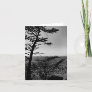 Tarjeta de felicitación Paisaje natural del bosque