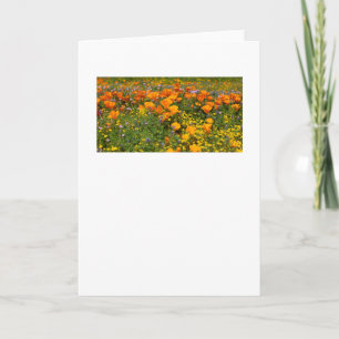 Tarjeta de felicitación paisajística de California