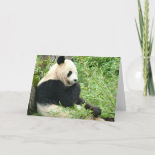 Tarjeta de felicitación Panda