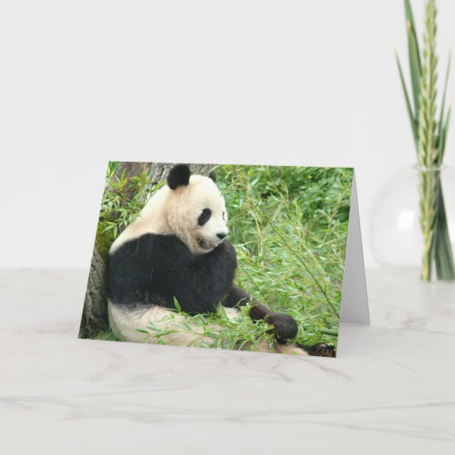 Tarjeta de felicitación Panda (Anverso)