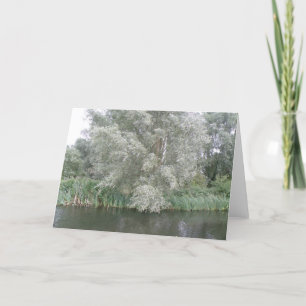 Tarjeta de felicitación panorámica de árbol blanco