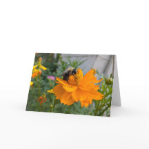 Tarjeta de felicitación para abejas ocupada - Tarj