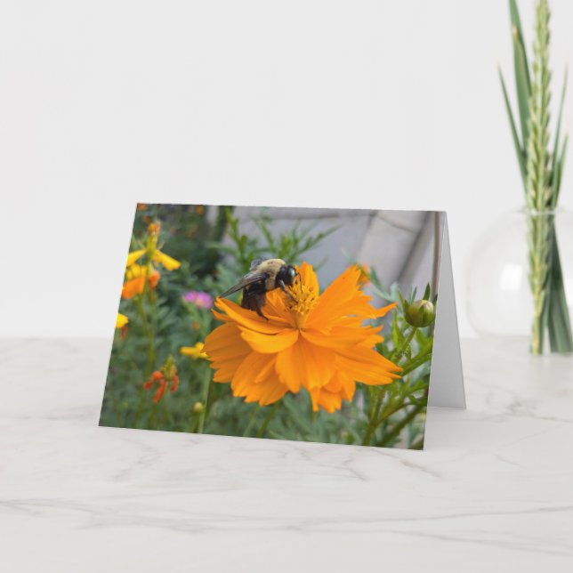 Tarjeta de felicitación para abejas ocupada - Tarj (Anverso)