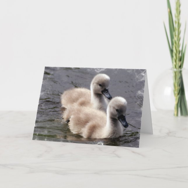 Tarjeta de felicitación para Baby Swans (Anverso)