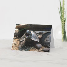 tarjeta de felicitación para bebés tortoise (felic