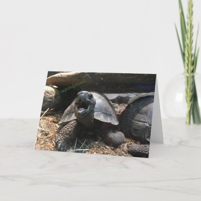tarjeta de felicitación para bebés tortoise (felic (Anverso)