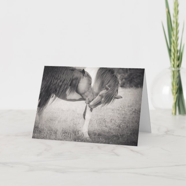 Tarjeta de felicitación para besar caballos (Anverso)