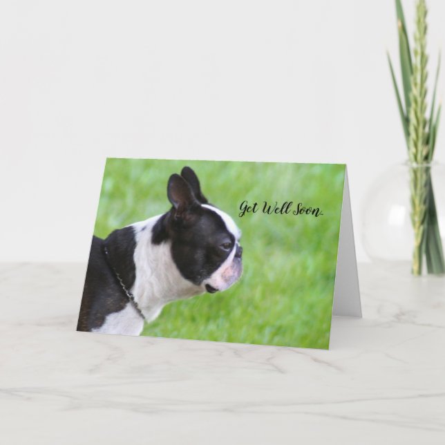 Tarjeta de felicitación para Boston Terrier 'Recup (Anverso)