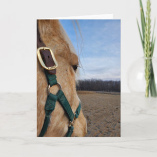 Tarjeta de felicitación para caballos