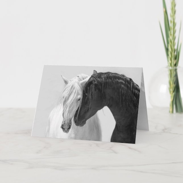 Tarjeta de felicitación para caballos Amigos de St (Anverso)