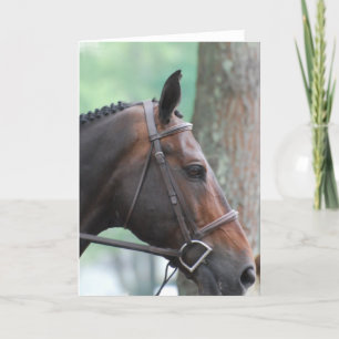 Tarjeta de felicitación para caballos de la bahía