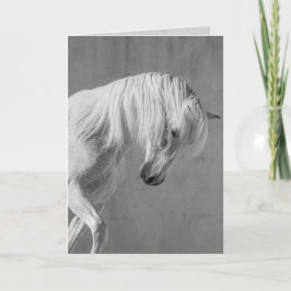 Tarjeta de felicitación para caballos - El Stallio