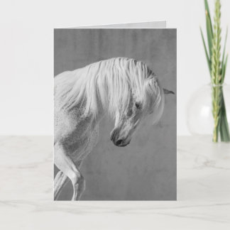 Tarjeta de felicitación para caballos - El Stallio