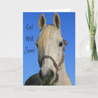 Tarjeta de felicitación para caballos Get Well Soo