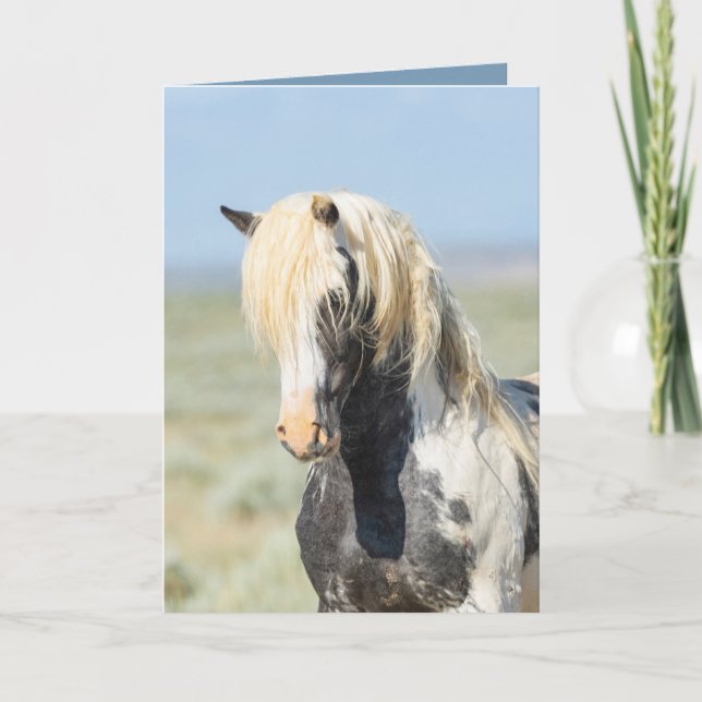 Tarjeta de felicitación para caballos salvaje de T (Anverso)