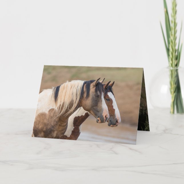 Tarjeta de felicitación para caballos salvajes - A (Anverso)