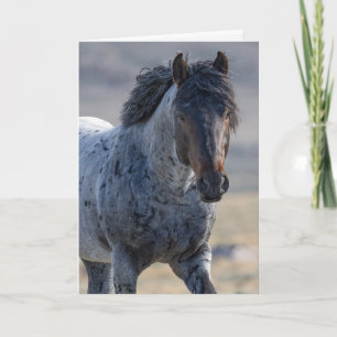 Tarjeta de felicitación para caballos salvajes - A