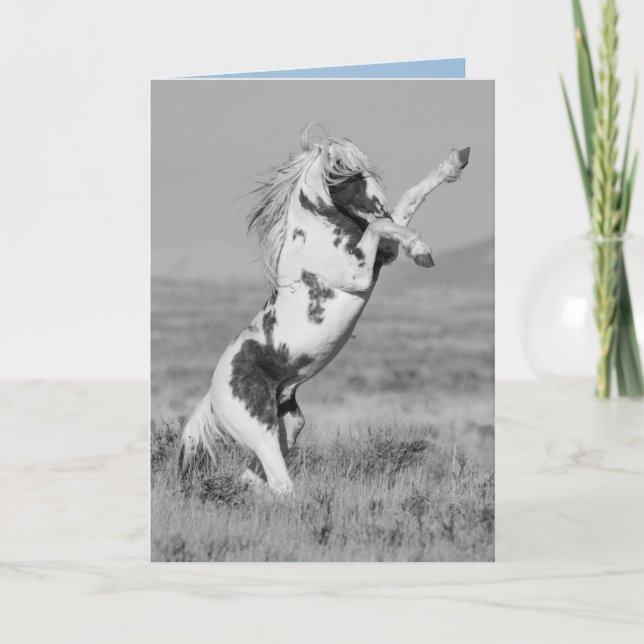 Tarjeta de felicitación para caballos salvajes de  (Anverso)