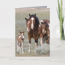 Tarjeta de felicitación para caballos salvajes de 