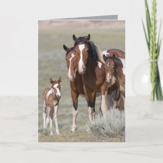 Tarjeta de felicitación para caballos salvajes de 
