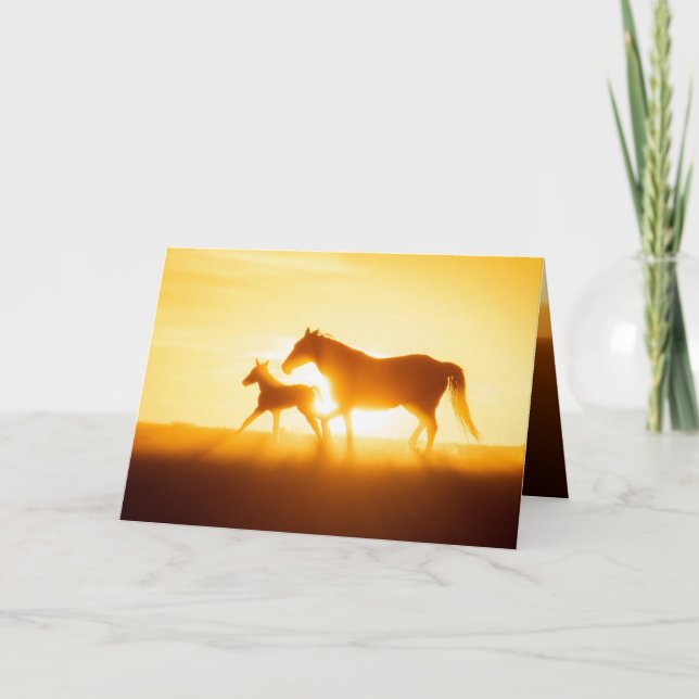 Tarjeta de felicitación para caballos salvajes - E (Anverso)