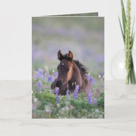 Tarjeta de felicitación para caballos salvajes - L
