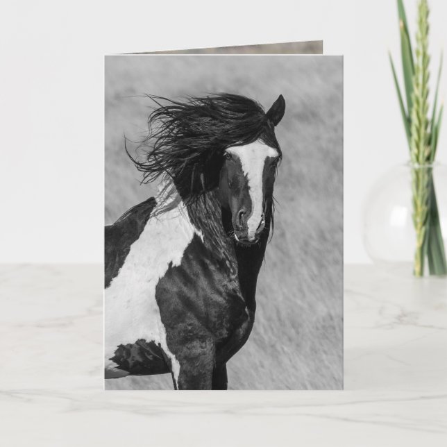 Tarjeta de felicitación para caballos salvajes - W (Anverso)