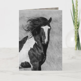 Tarjeta de felicitación para caballos salvajes - W