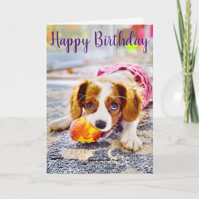 Tarjeta de felicitación para cachorro de King Char (Anverso)