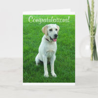Tarjeta de Felicitación para Cachorro de Labrador