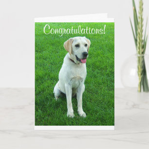 Tarjeta de Felicitación para Cachorro de Labrador