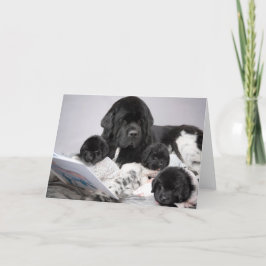 Tarjeta de felicitación para cachorro de Notta Bea