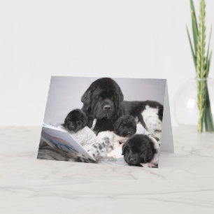 Tarjeta de felicitación para cachorro de Notta Bea