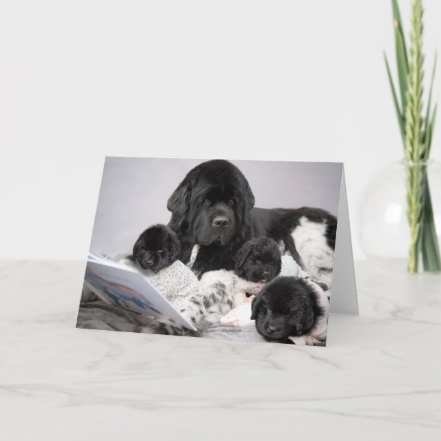 Tarjeta de felicitación para cachorro de Notta Bea (Anverso)