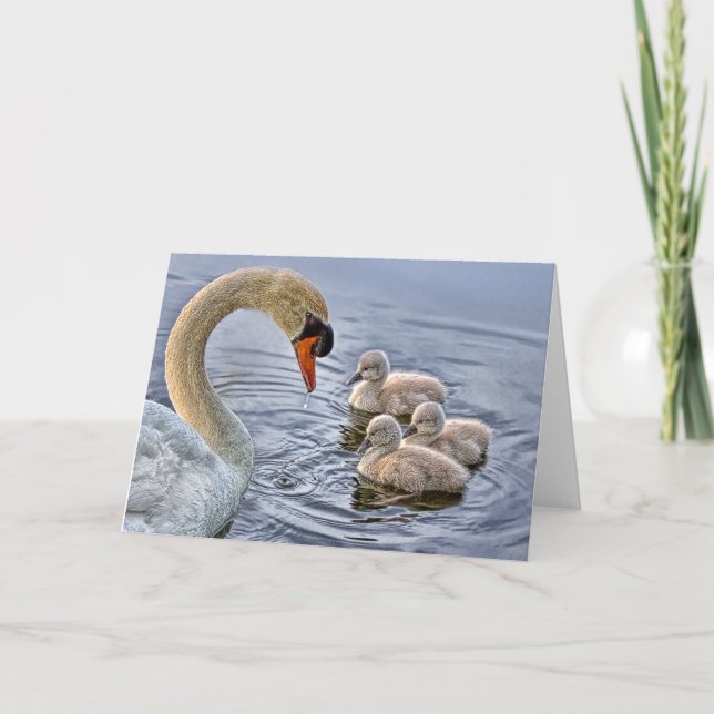 Tarjeta de felicitación para cisnes y bebés (Anverso)