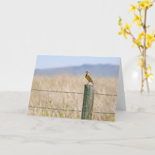 Tarjeta de felicitación para cualquier ocasión de