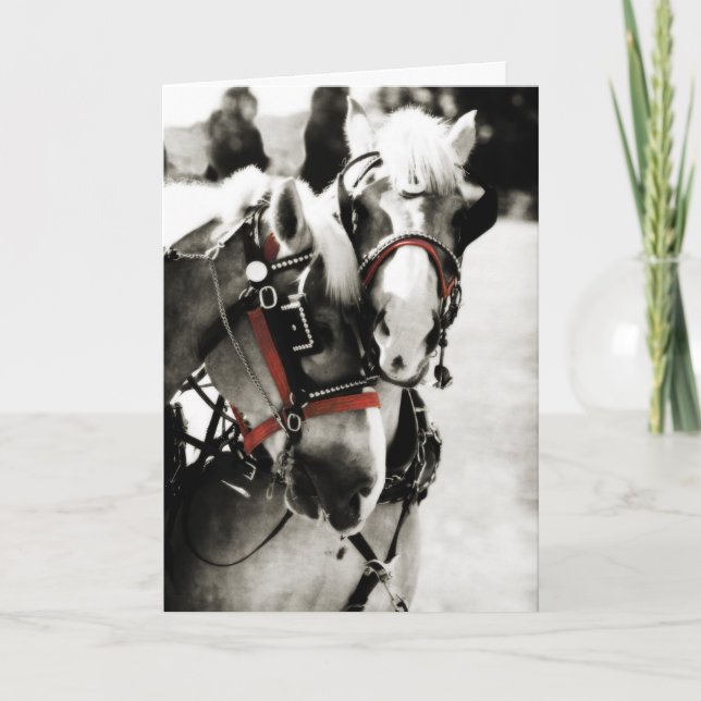 Tarjeta de felicitación para dos Navidades de vaca (Anverso)